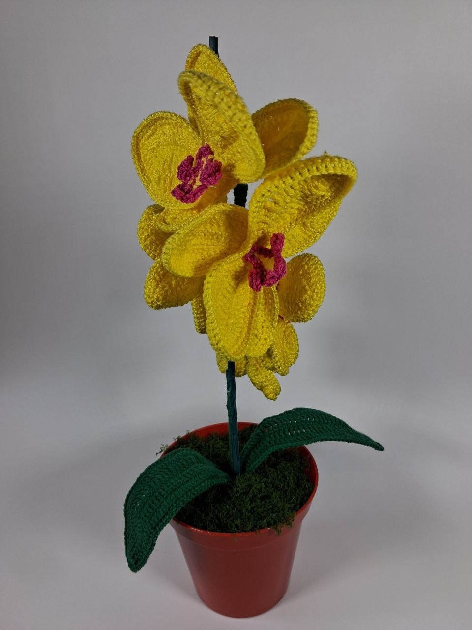 Yellow Crochet Orchid