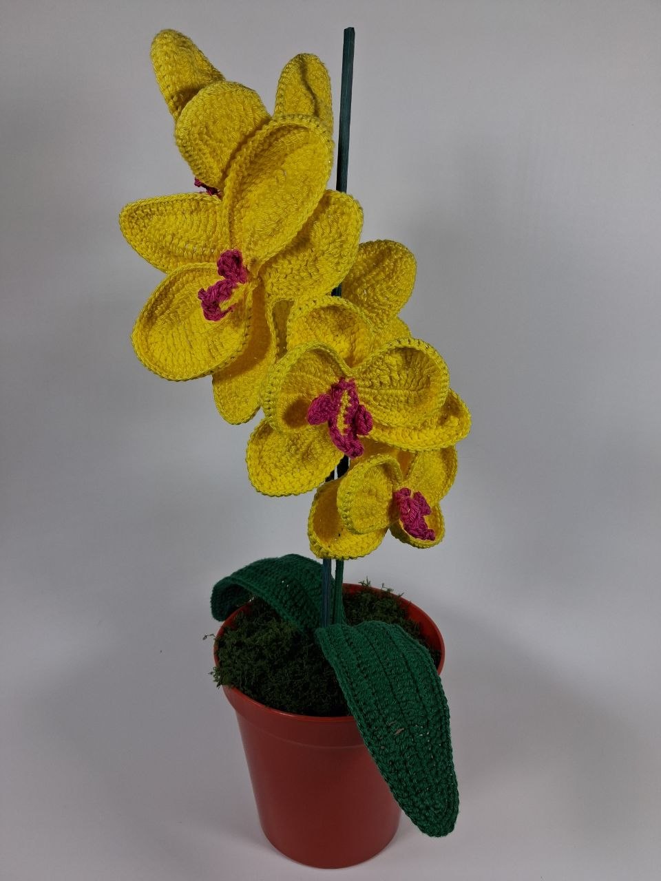 Yellow Crochet Orchid