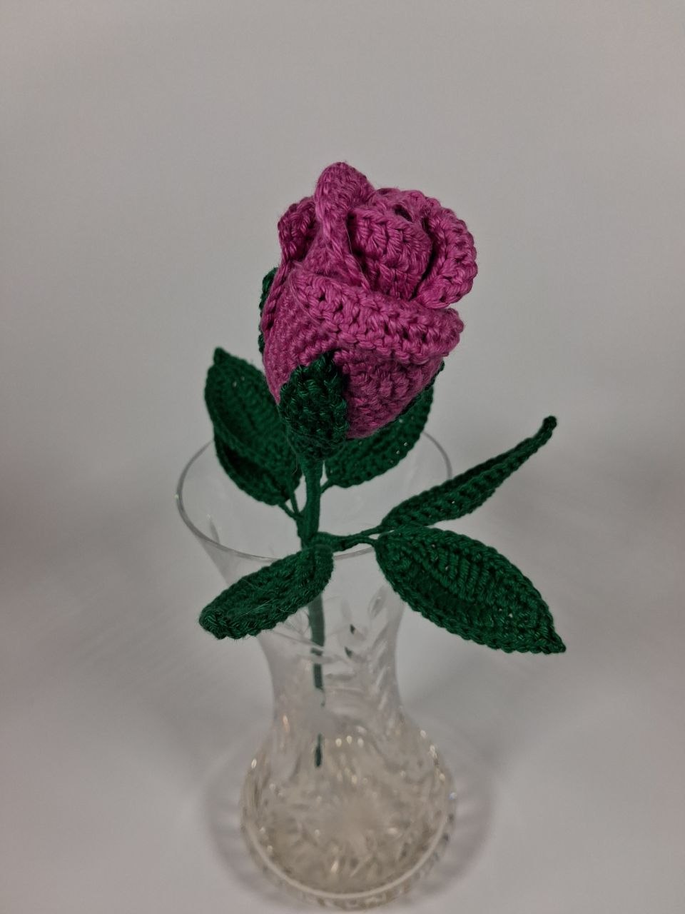 Rose Stem