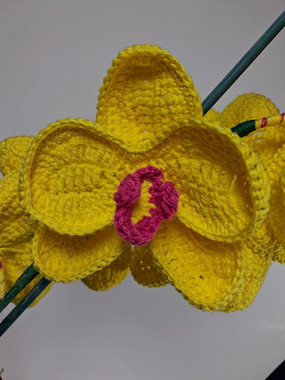 Yellow Crochet Orchid