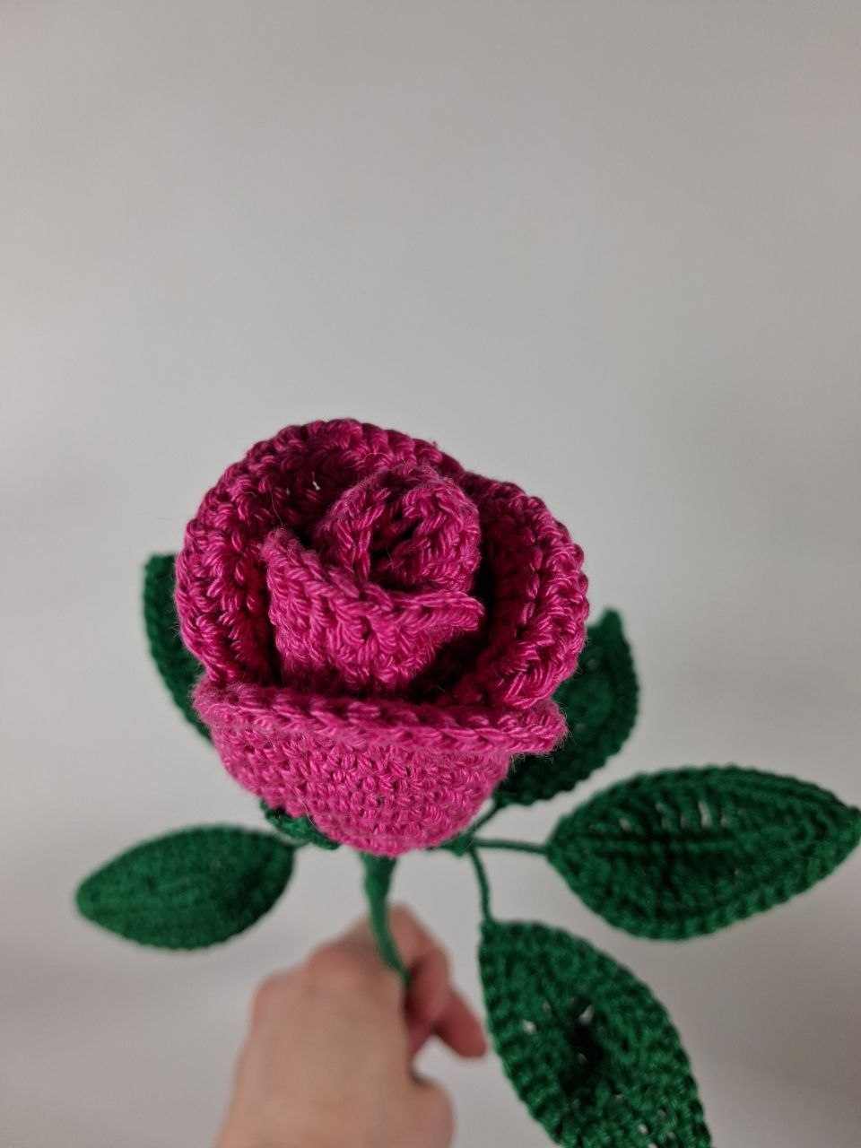 Rose Stem