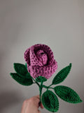 Rose Stem