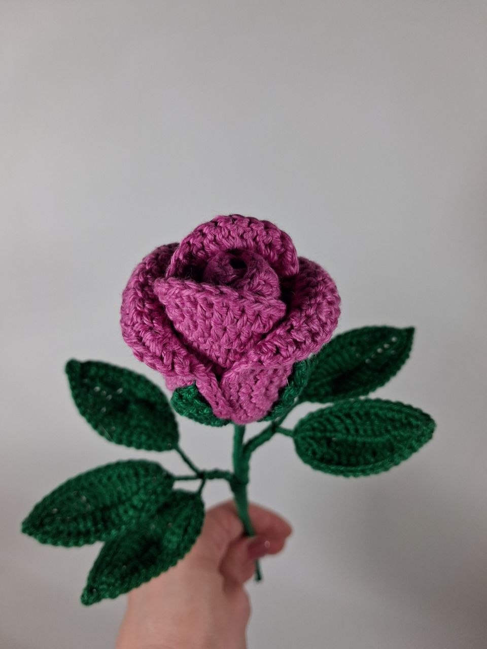 Rose Stem