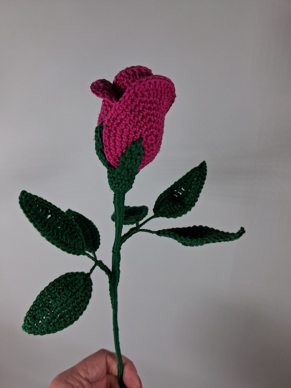 Rose Stem