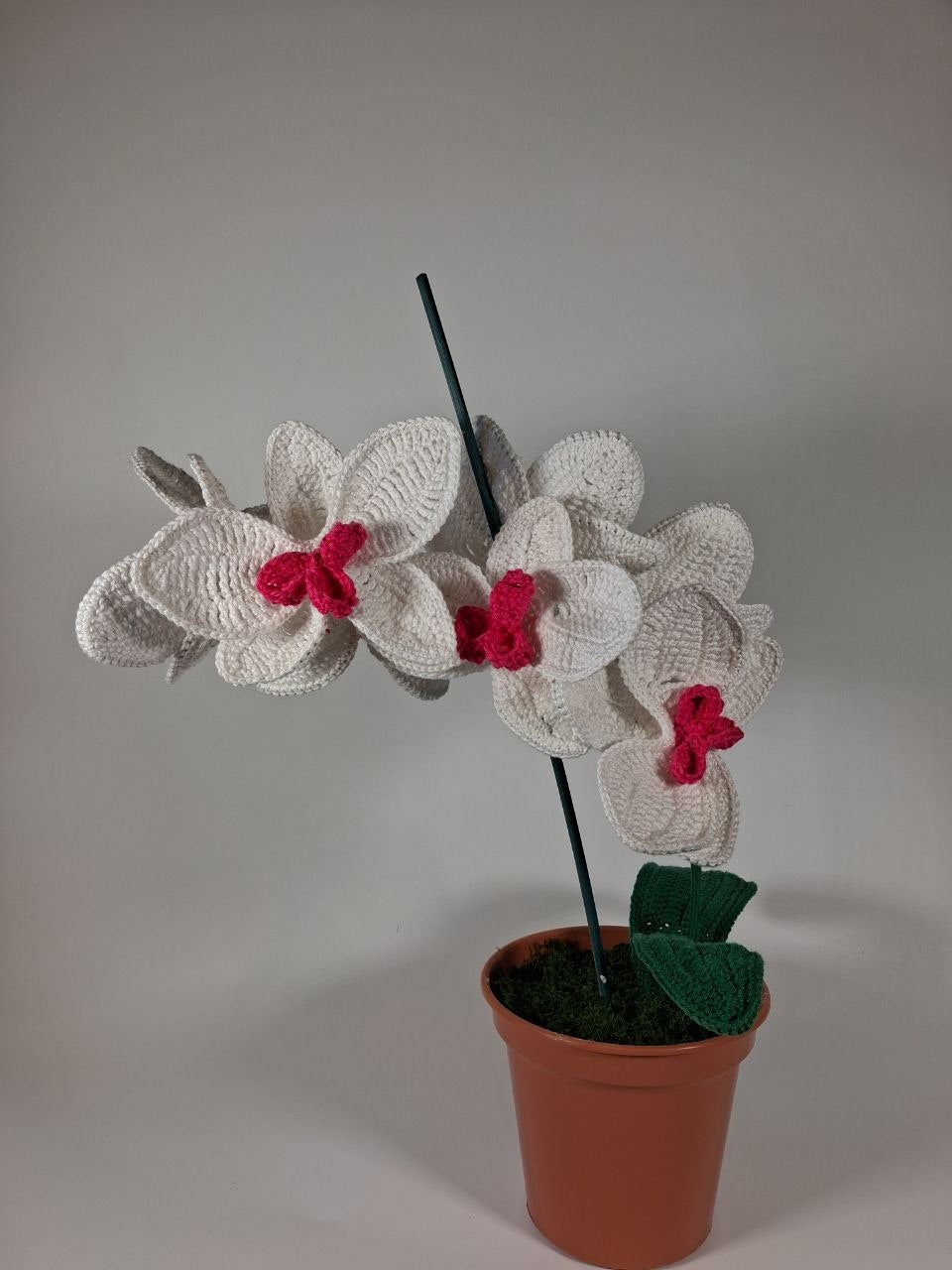 White Crochet Orchid in a Pot