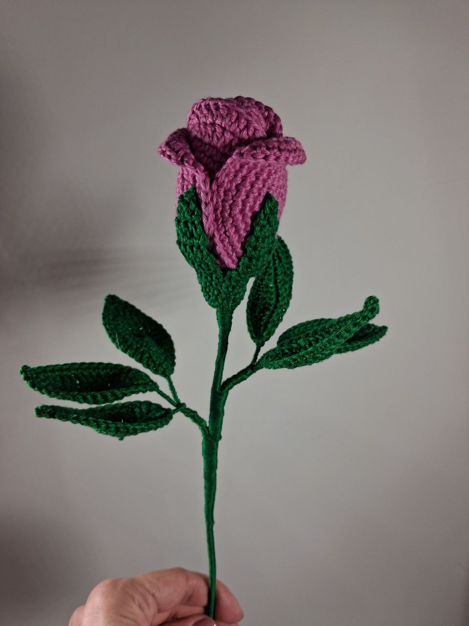 Rose Stem