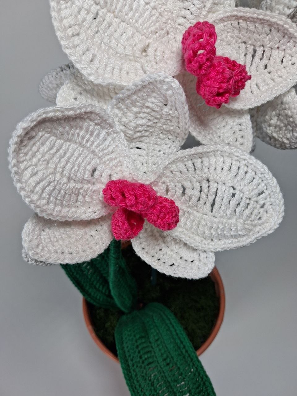 White Crochet Orchid in a Pot
