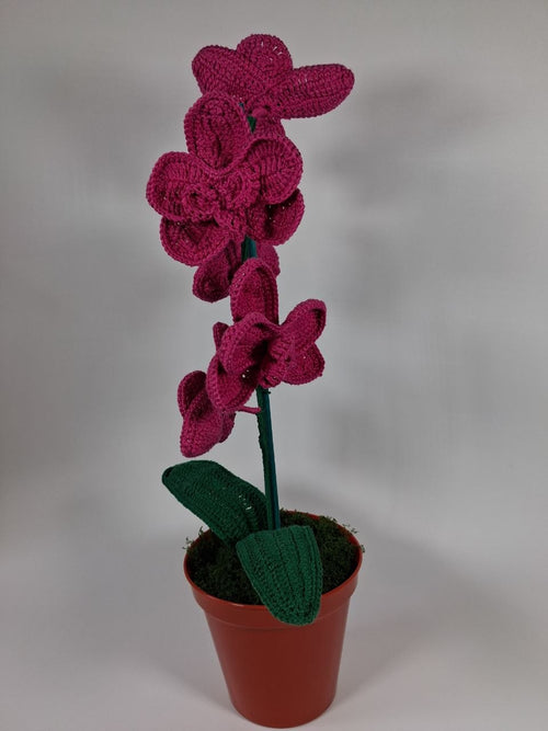Crochet Pink Orchid