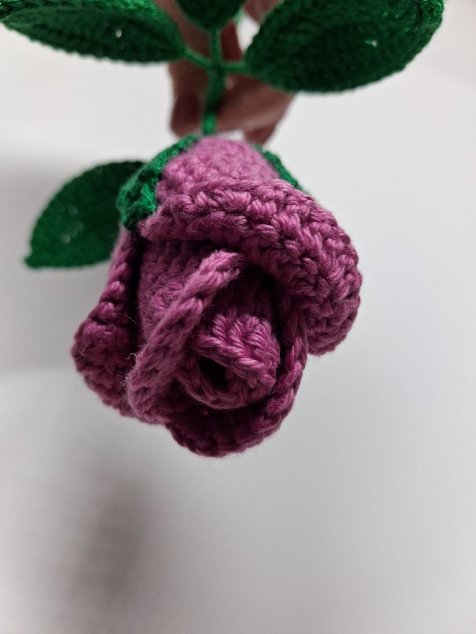 Rose Stem