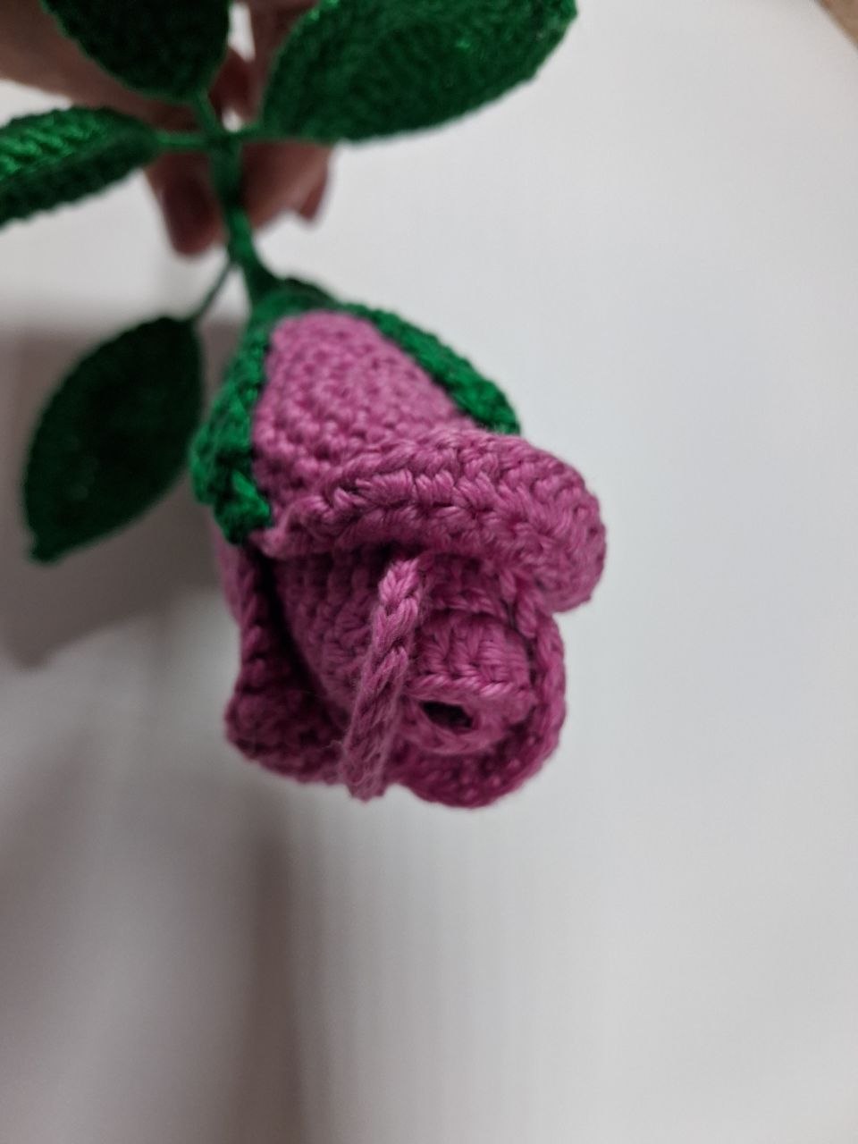 Rose Stem