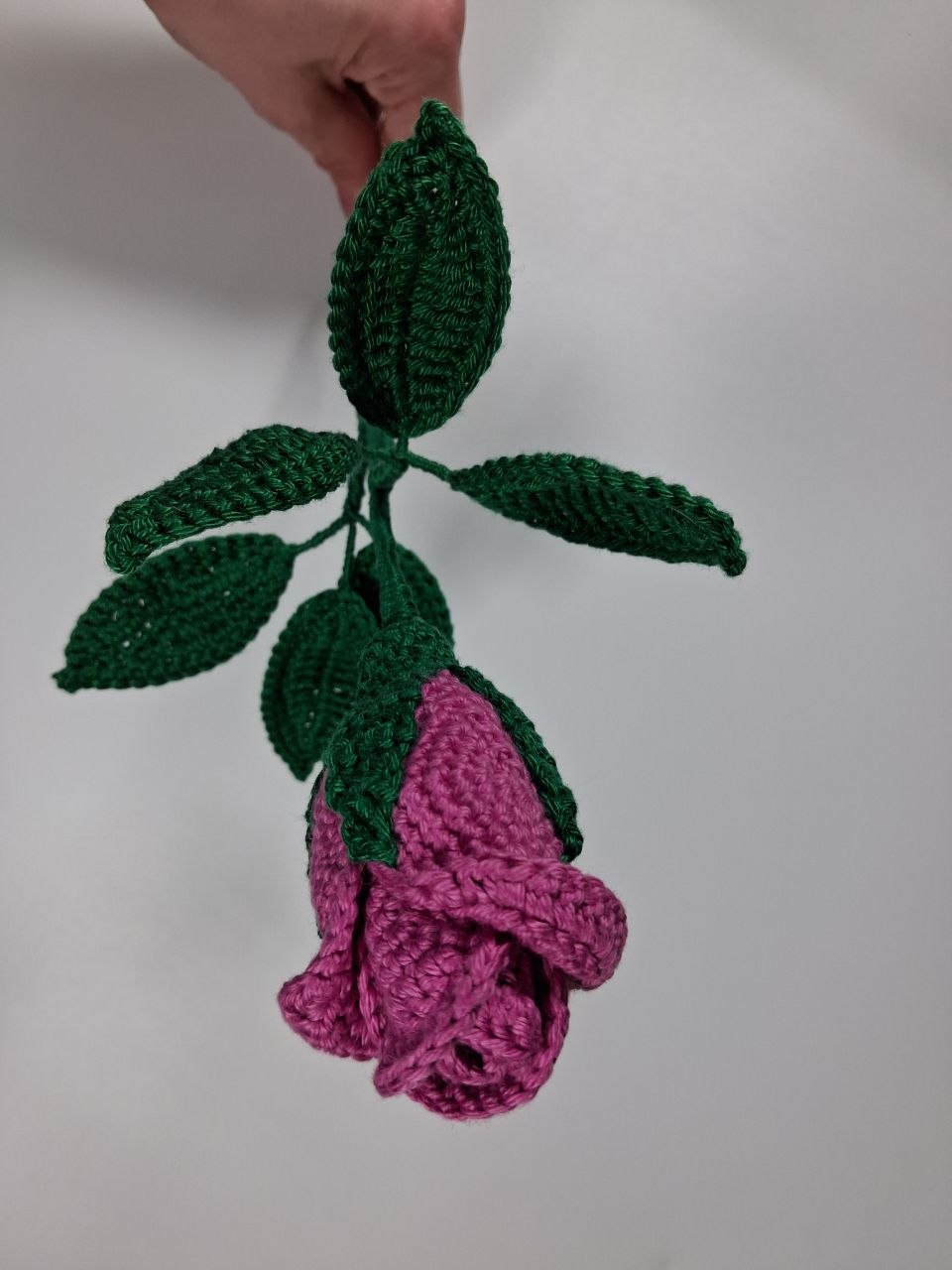 Rose Stem
