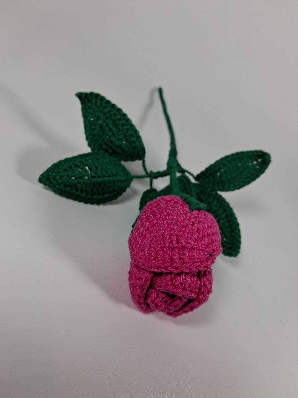 Rose Stem