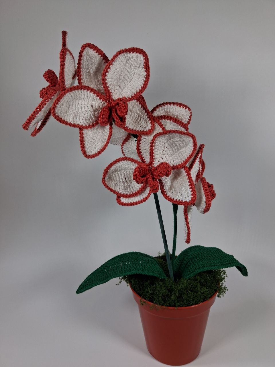 White Crochet Orchid