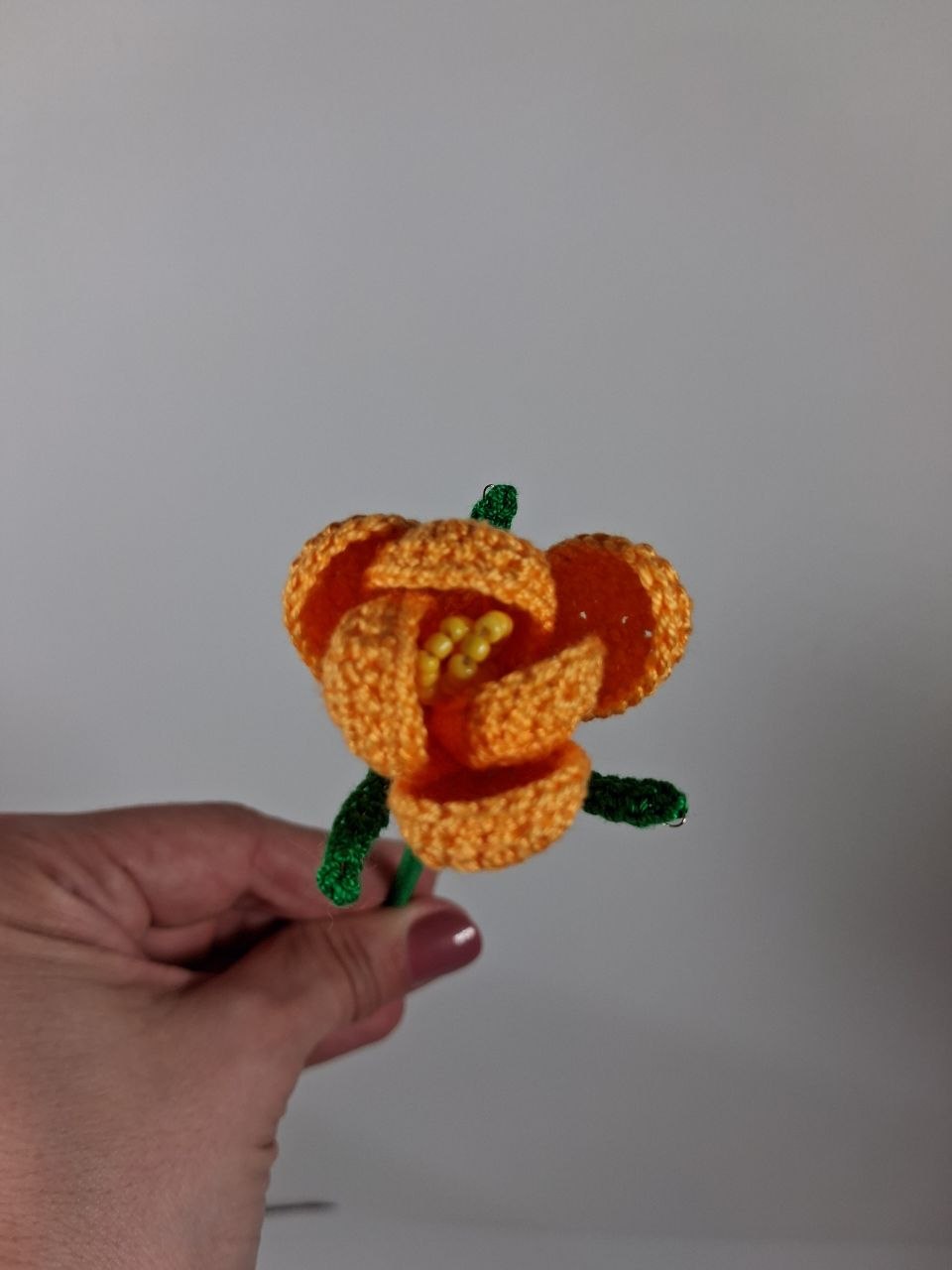 Crocus Stem