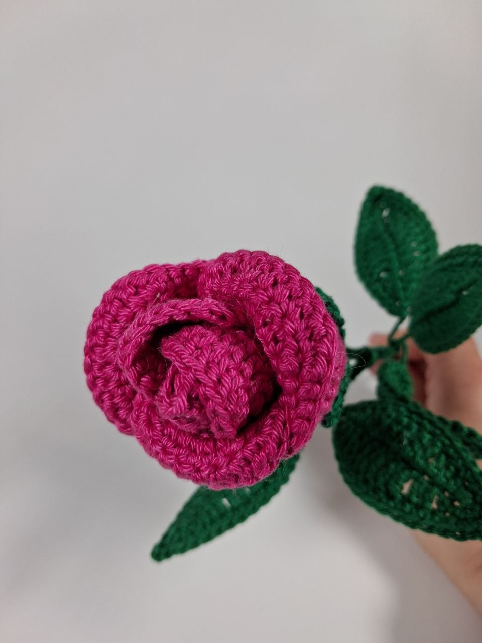 Rose Stem