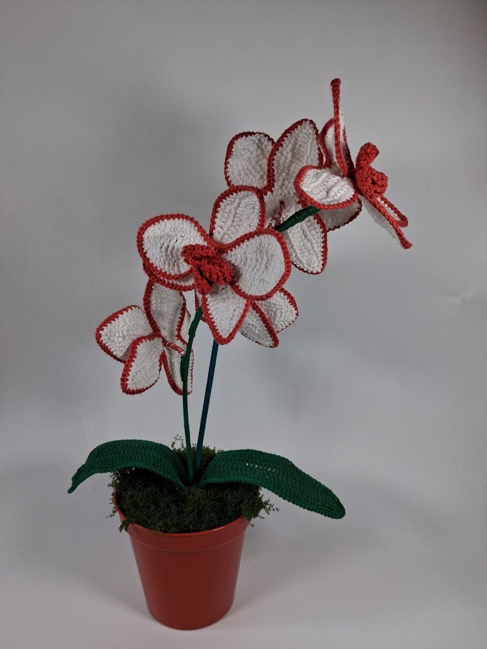 White Crochet Orchid