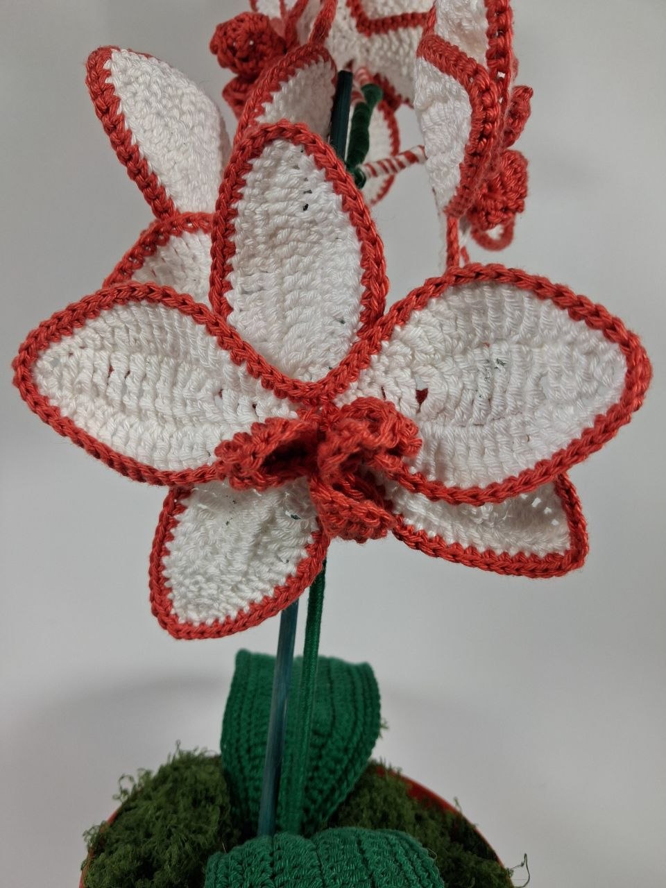 White Crochet Orchid