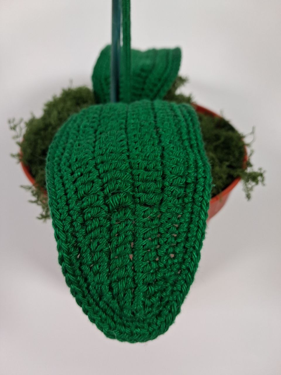 White Crochet Orchid