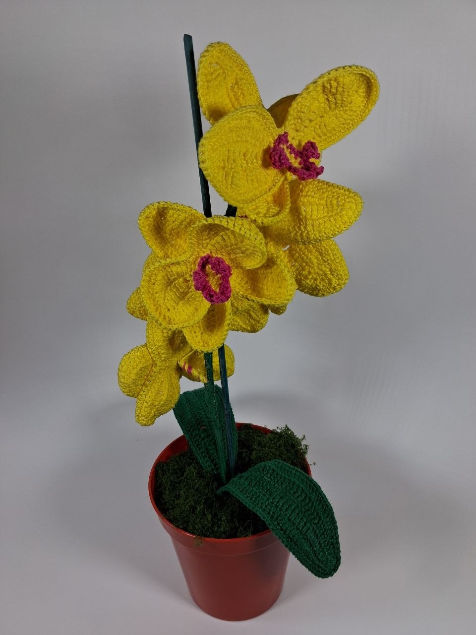 Yellow Crochet Orchid