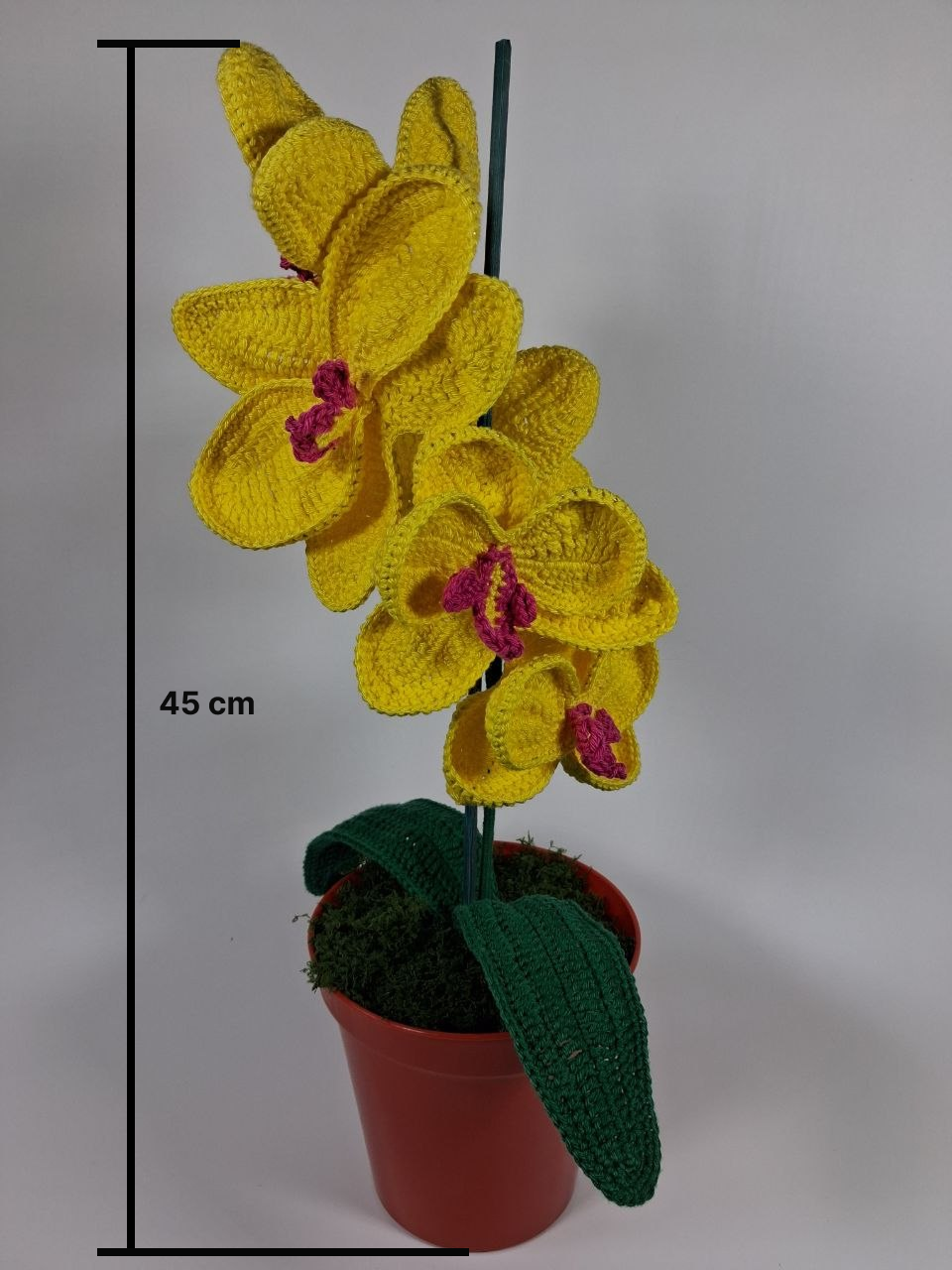Yellow Crochet Orchid