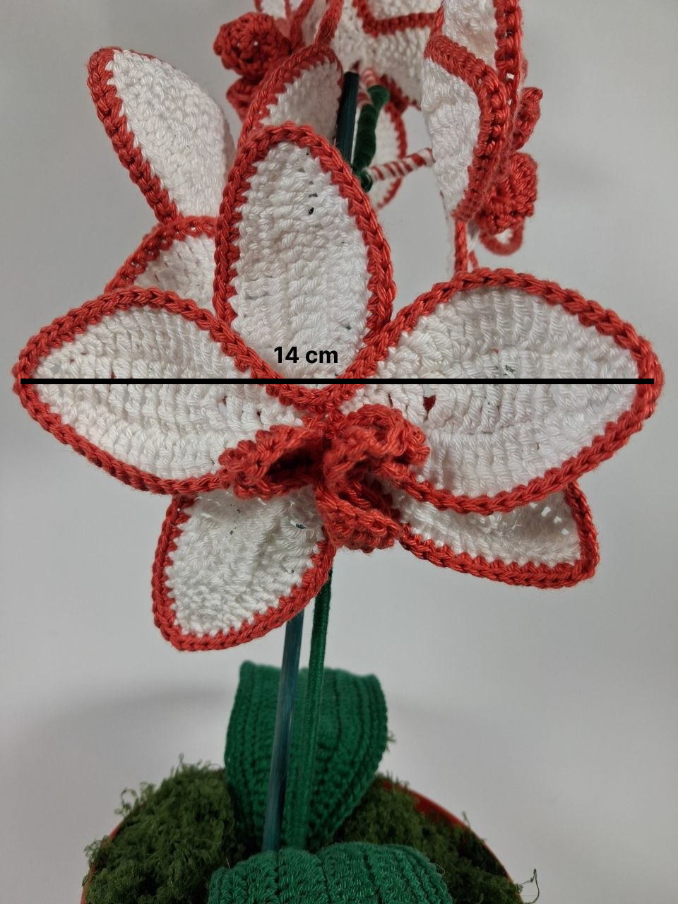 White Crochet Orchid