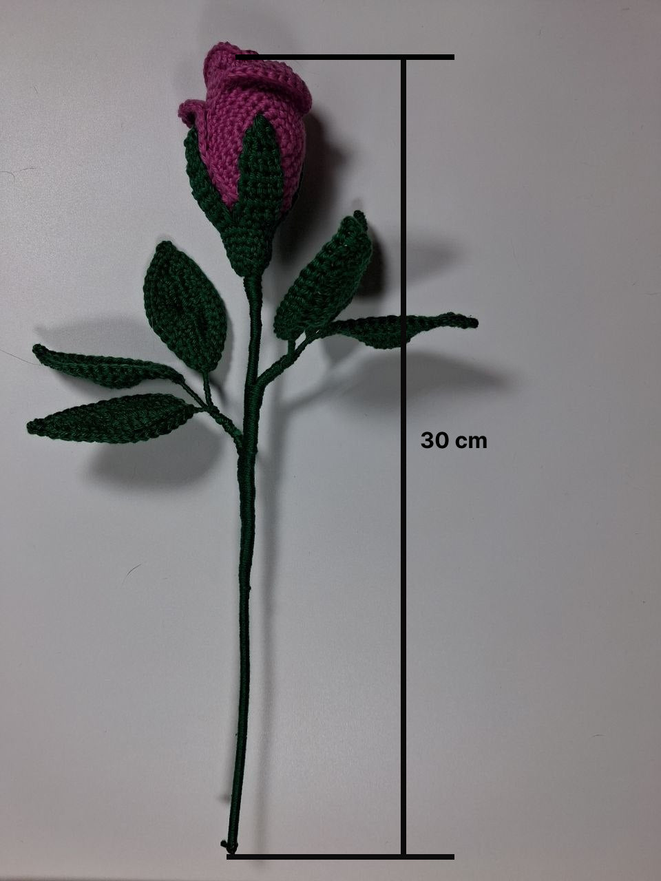 Rose Stem