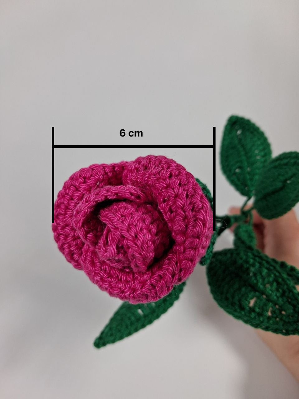 Rose Stem