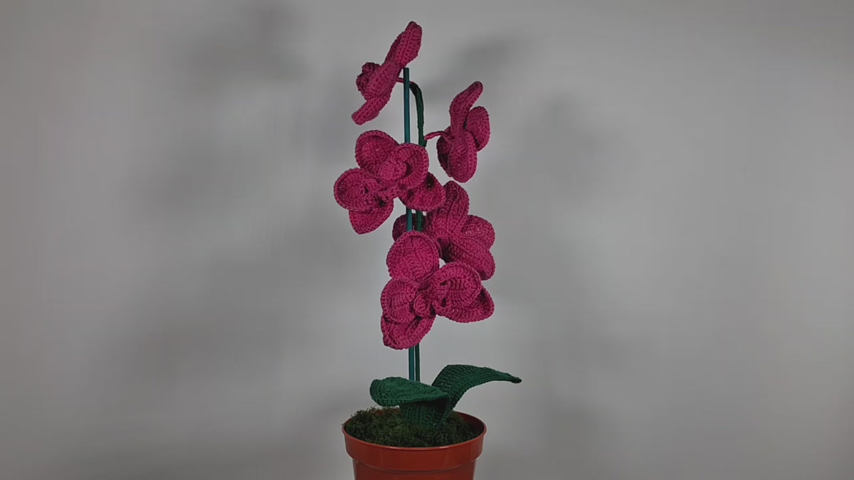 Crochet Pink Orchid