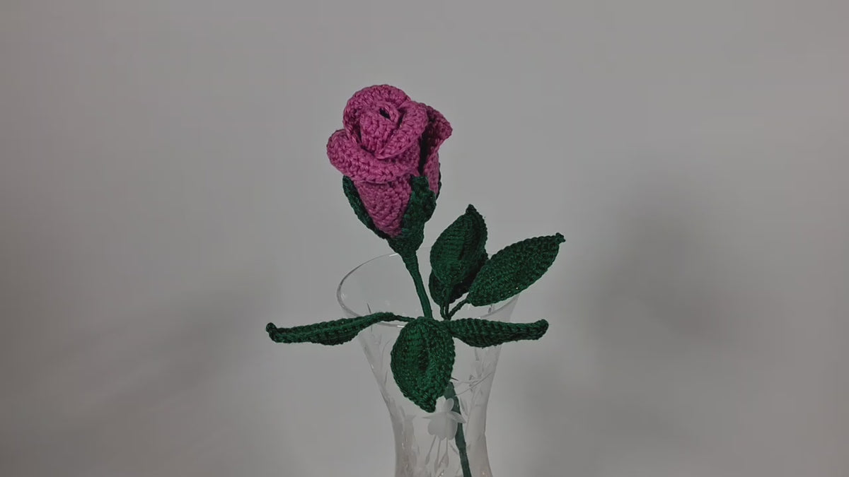 Rose Stem
