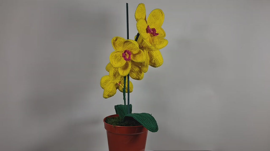 Yellow Crochet Orchid